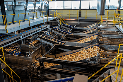 07_Eqraft_Eqrader_Optical_Onion_Grading_MSP_Optisch_Uien_Sorteren_nc2_3723.png